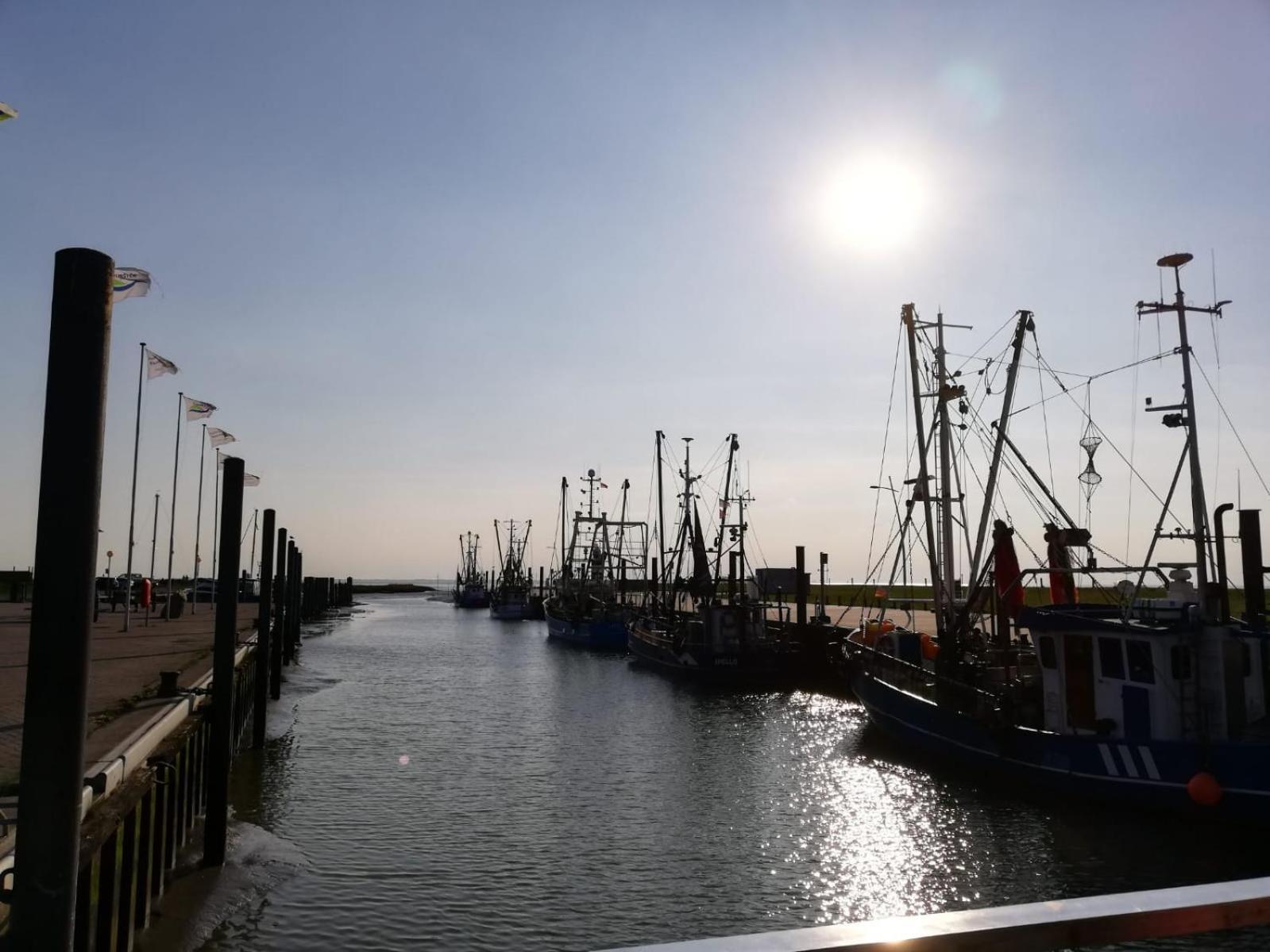 Ferienwohnung Alea, Zentrumsnah Bremerhaven Extérieur photo