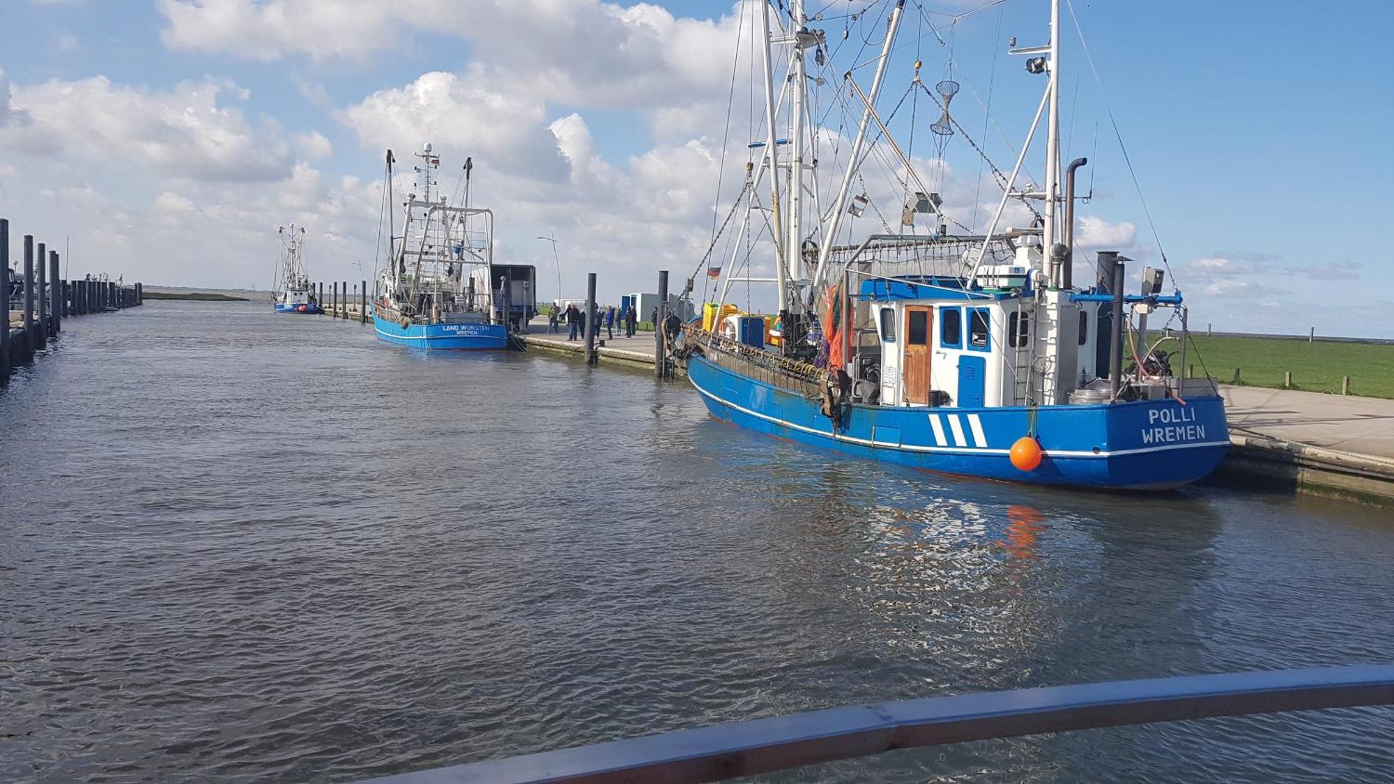 Ferienwohnung Alea, Zentrumsnah Bremerhaven Extérieur photo